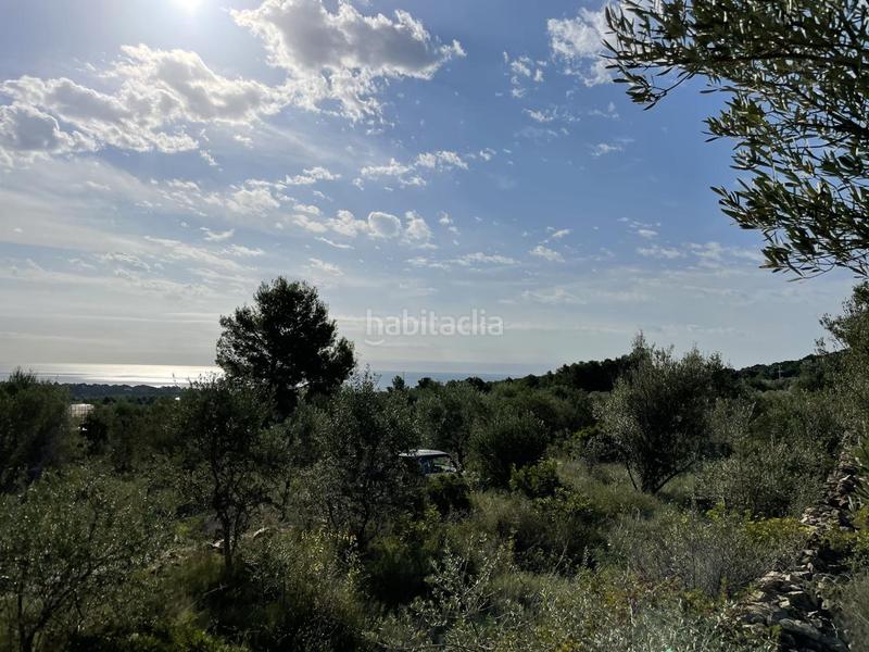 Foto 1e41a489-62de-4d10-994d-a4ba84284656. Rural plot in Roques Daurades-L´Estany Ametlla de Mar (L´)