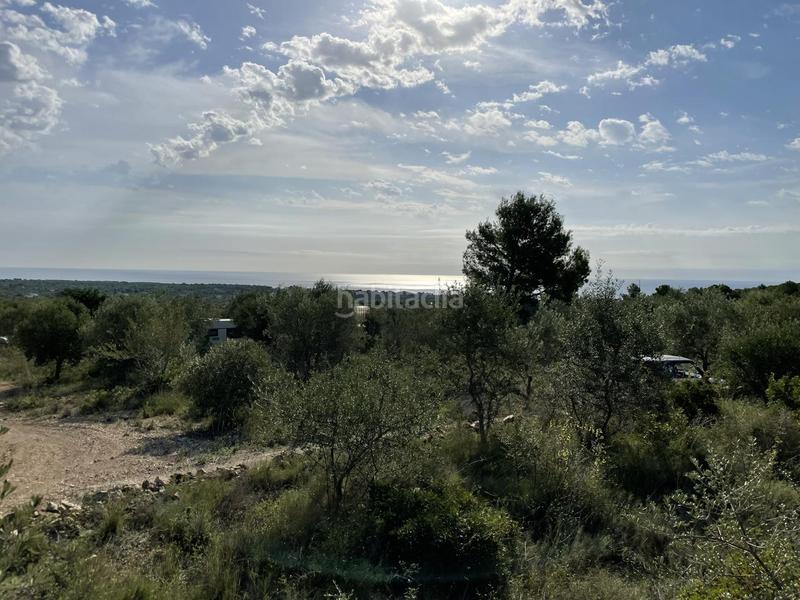 Foto 251f4bb4-67d5-4cb1-83fd-81cd0150c3ad. Rural plot in Roques Daurades-L´Estany Ametlla de Mar (L´)