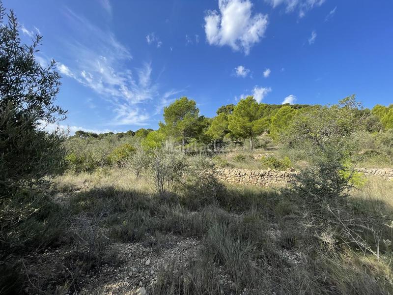 Foto 32b99ef8-b1de-45ee-bfc7-dfc69d4f353c. Rural plot in Roques Daurades-L´Estany Ametlla de Mar (L´)