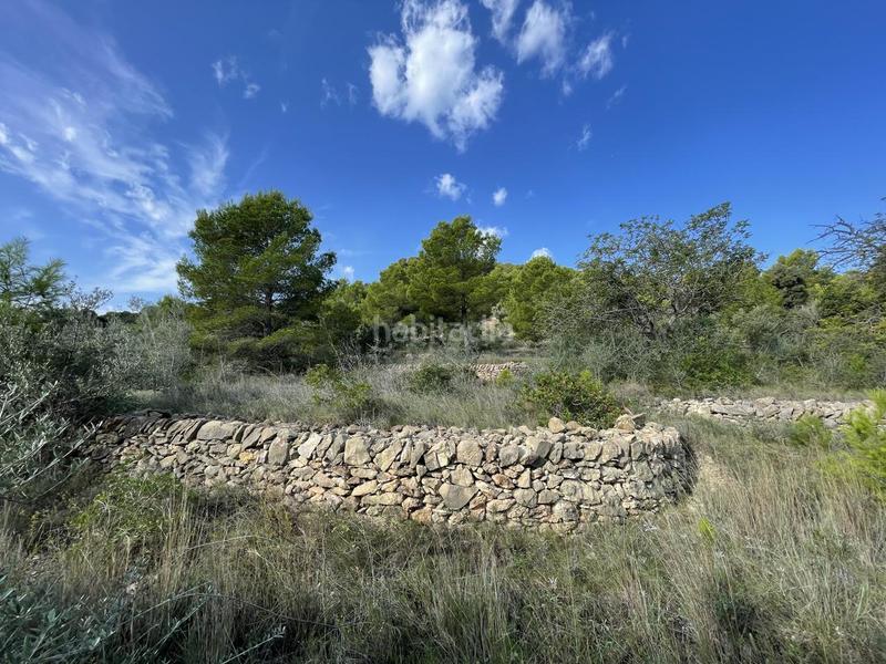 Foto 369a33ce-d7e9-4fa0-b045-464cd489c6d6. Rural plot in Roques Daurades-L´Estany Ametlla de Mar (L´)