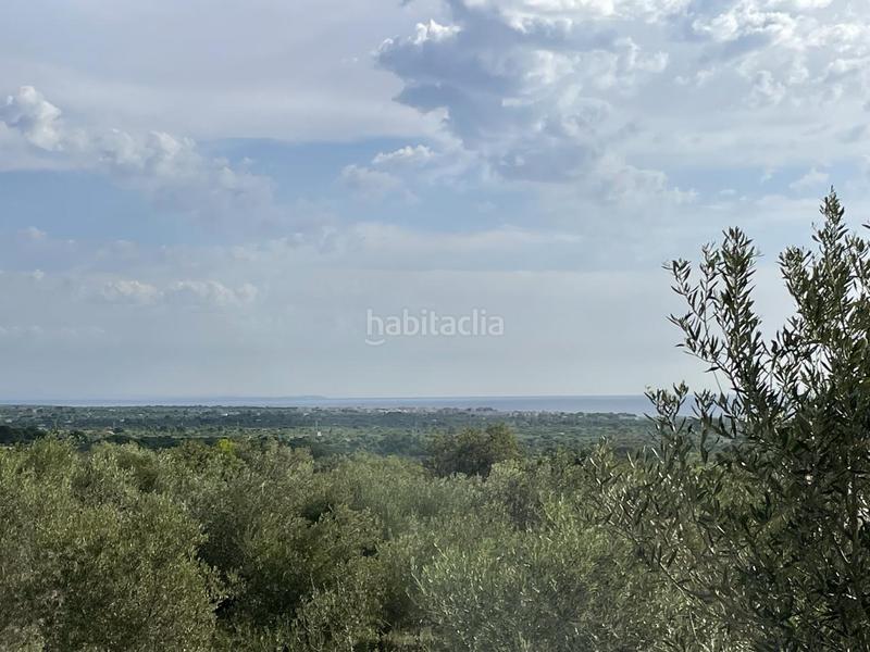 Foto 3ee6897f-b0bf-4d7b-8f62-0df93694717c. Rural plot in Roques Daurades-L´Estany Ametlla de Mar (L´)