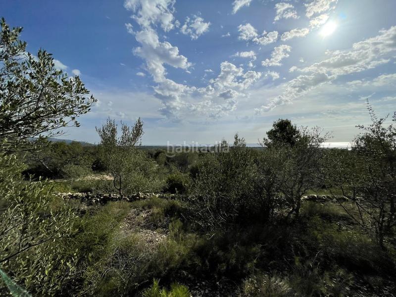 Foto 4d6922d0-ceb1-441d-a4cd-265e19f150e6. Rural plot in Roques Daurades-L´Estany Ametlla de Mar (L´)