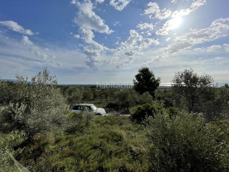 Foto 6c46dea5-89b0-4fbe-87dd-11076cd5f4af. Rural plot in Roques Daurades-L´Estany Ametlla de Mar (L´)