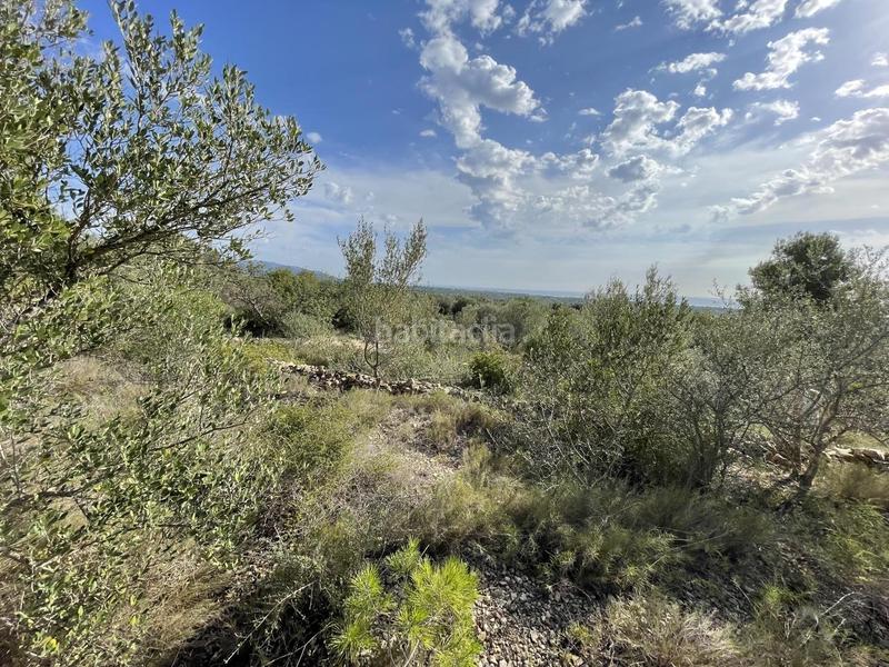 Foto 702f0f38-044f-4730-8206-8bcc1552c64f. Rural plot in Roques Daurades-L´Estany Ametlla de Mar (L´)