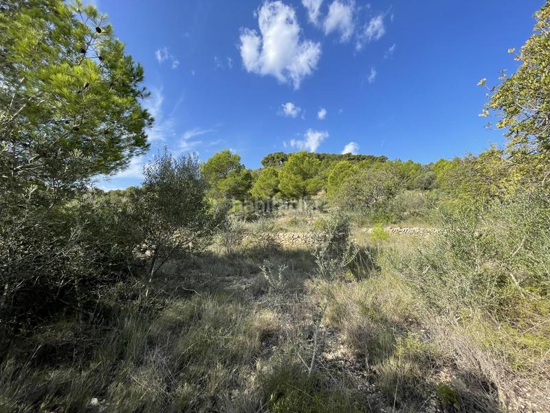 Foto 7228be1e-0de9-46f8-b3dc-a396dbfea43a. Rural plot in Roques Daurades-L´Estany Ametlla de Mar (L´)