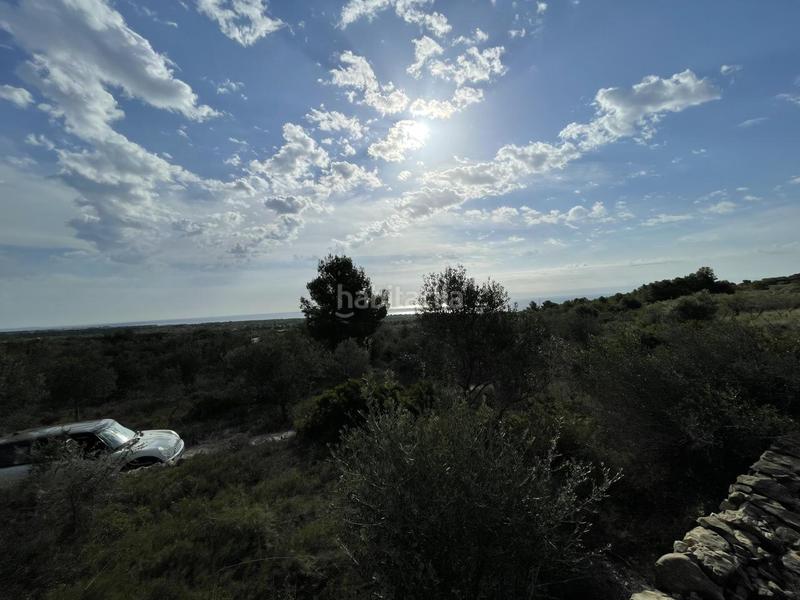 Foto 85129160-301c-4e45-9924-7bb11ea860be. Rural plot in Roques Daurades-L´Estany Ametlla de Mar (L´)