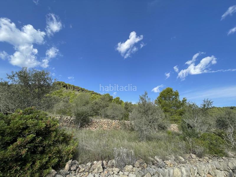 Foto 8cda0640-33f3-4359-ad21-d48710ad1c18. Rural plot in Roques Daurades-L´Estany Ametlla de Mar (L´)