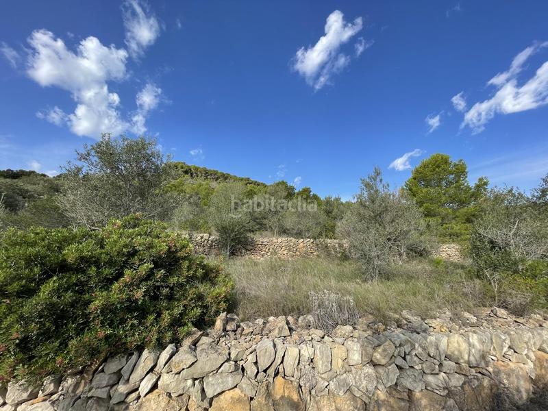 Foto 921cc82c-7573-43b5-b54b-d7763be8251c. Rural plot in Roques Daurades-L´Estany Ametlla de Mar (L´)