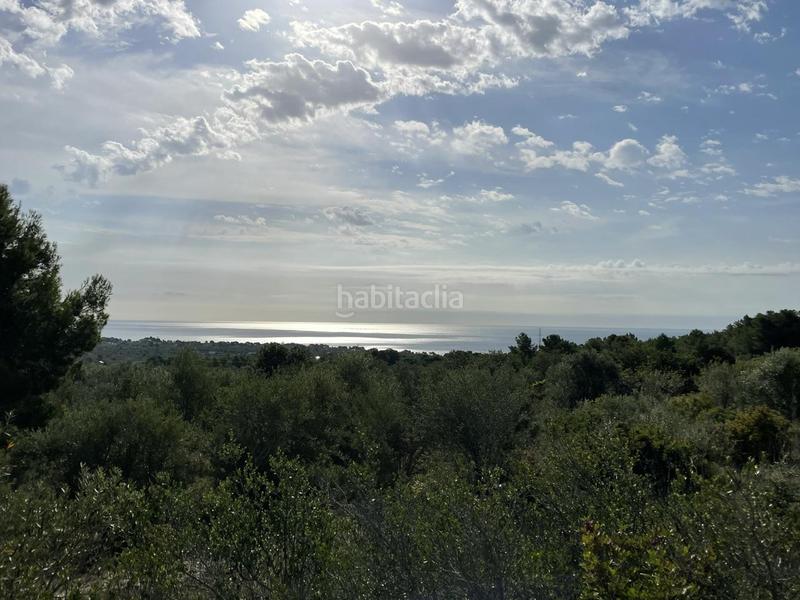 Foto 92ada01a-dbaa-461e-9509-534d91c7f037. Rural plot in Roques Daurades-L´Estany Ametlla de Mar (L´)