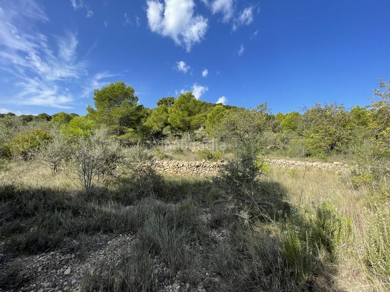 Foto 999aae9e-fd60-4719-bad3-c6ea5a886a2b. Rural plot in Roques Daurades-L´Estany Ametlla de Mar (L´)