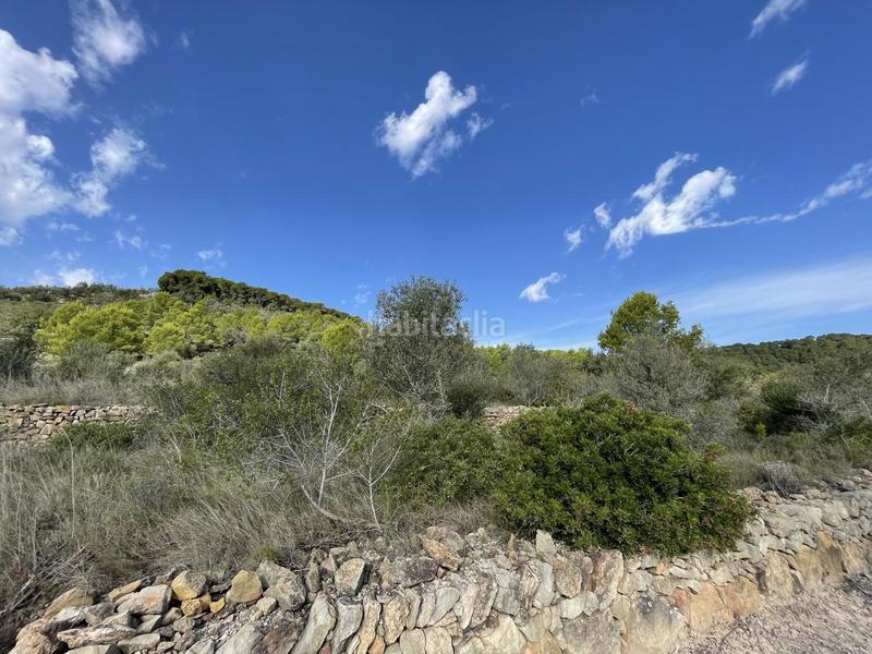 Foto d371bd41-d540-49ad-bd12-ee47541a8411. Rural plot in Roques Daurades-L´Estany Ametlla de Mar (L´)