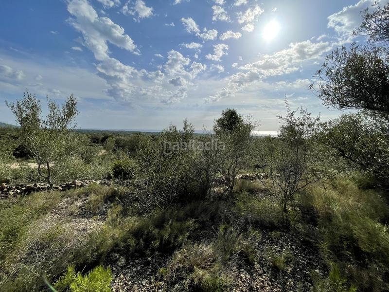 Foto de2a20f4-582b-4d6d-b647-4f5d8be89524. Rural plot in Roques Daurades-L´Estany Ametlla de Mar (L´)