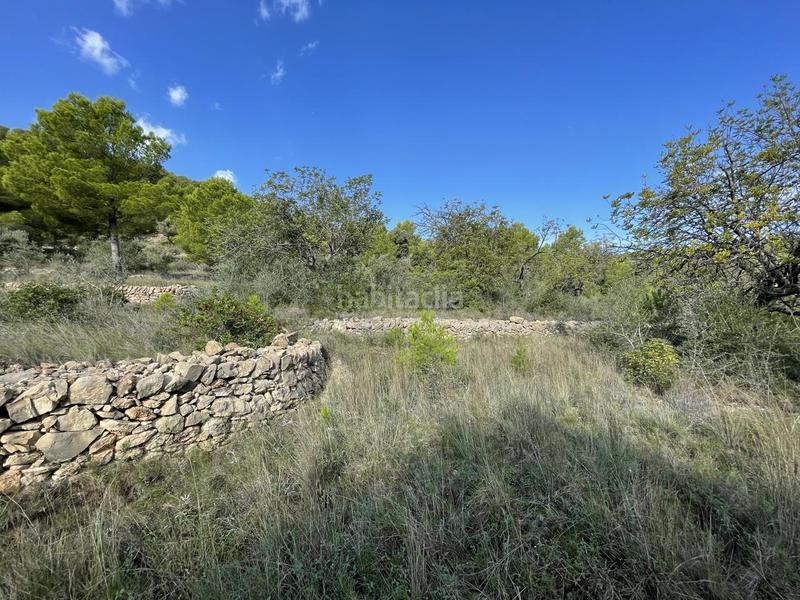 Foto ea425259-c22b-4c5c-8400-3d11faabc78e. Rural plot in Roques Daurades-L´Estany Ametlla de Mar (L´)