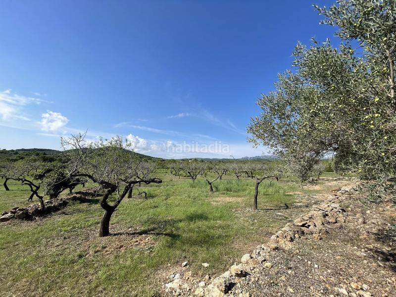 Foto 24646b52-b4e8-4d37-a832-95349ce62edb. Mas dans L´Ametlla de Mar Ametlla de Mar (L´)