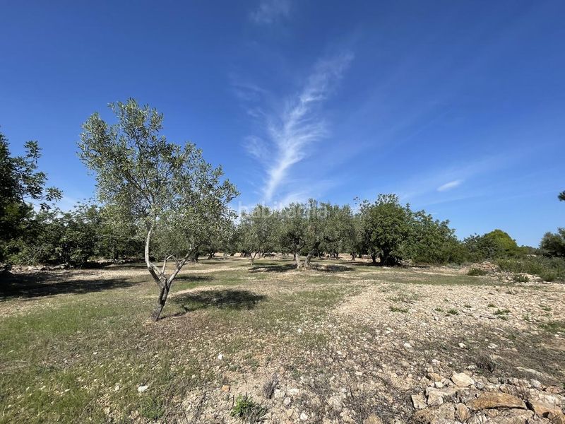 Foto b0cb49b4-beac-45d2-9b13-82606b9761b2. Masia a Perelló (El)