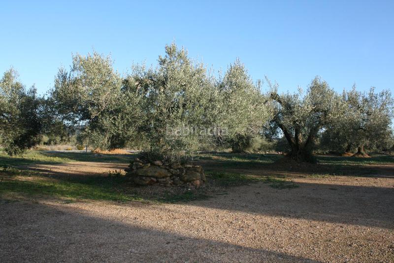 Foto 4a036514-948e-4a25-9fba-69b28c0f374f. Masia a Perelló (El)