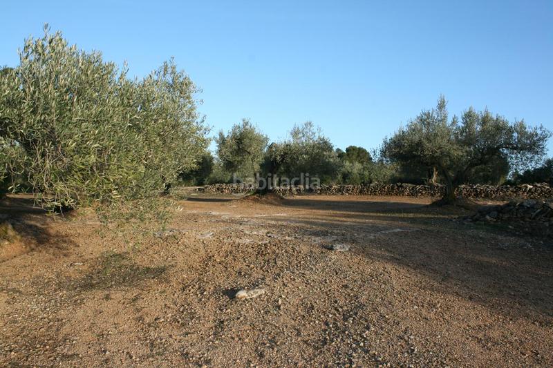 Foto 73540de4-f8aa-4ba8-84cf-418217968730. Masia a Perelló (El)