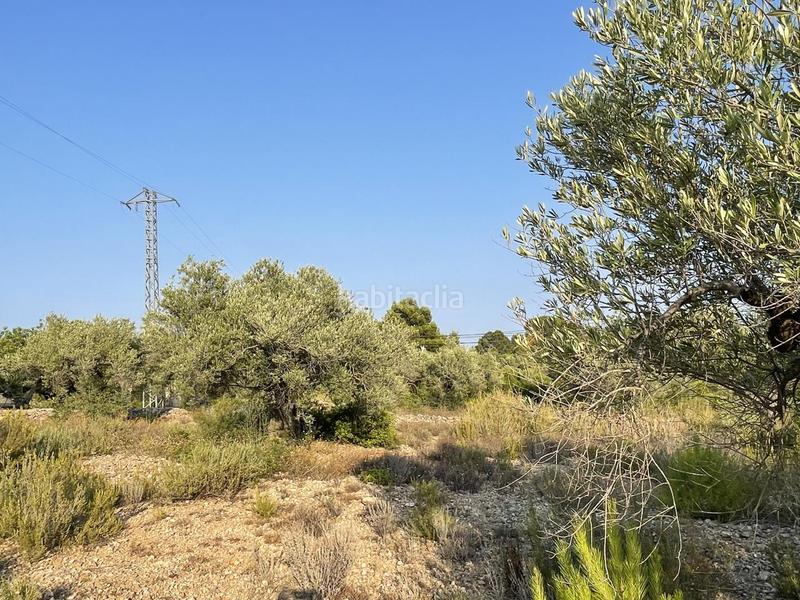 Foto 06655f4f-25e0-417a-a1a3-013d1400e281. Finca rústica a Roques Daurades-L´Estany Ametlla de Mar (L´)