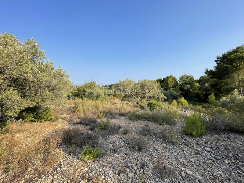 Foto 35ece49c-e13a-412f-bbcd-17783064c29c. Finca rústica a Roques Daurades-L´Estany Ametlla de Mar (L´)