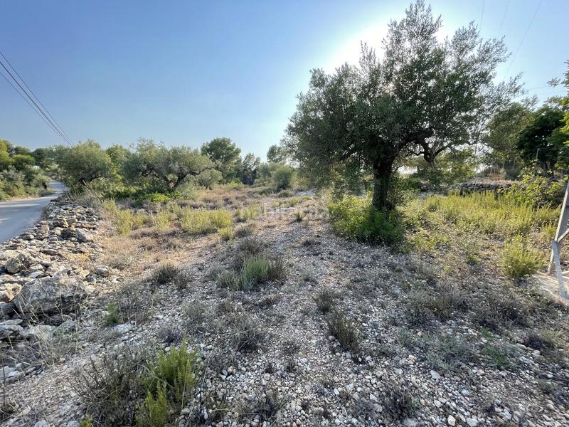 Foto 497a37e7-83e5-43c5-8716-e5341659db7a. Finca rústica a Roques Daurades-L´Estany Ametlla de Mar (L´)