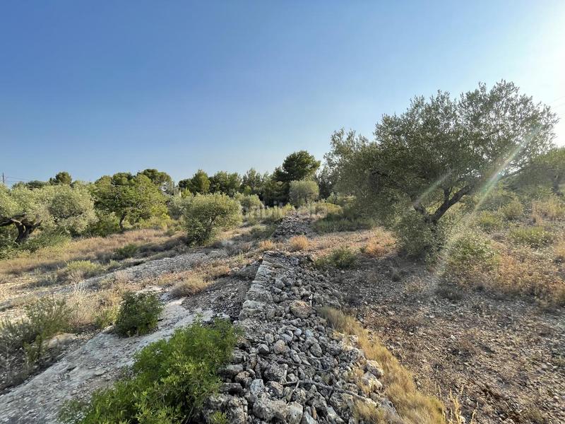 Foto 5f39fcdf-7e35-49c7-8940-ab7d7d0aad90. Finca rústica a Roques Daurades-L´Estany Ametlla de Mar (L´)