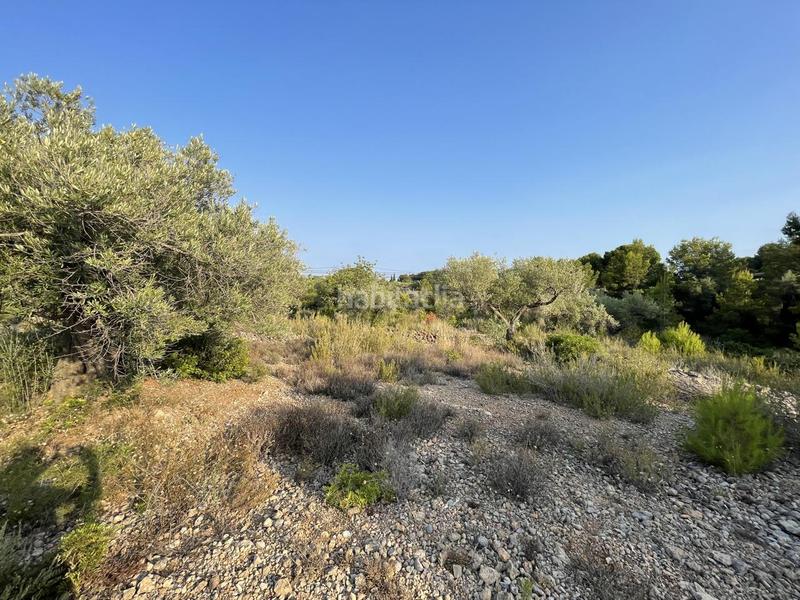 Foto 7f414fcb-9799-418a-889f-0435a116ab26. Finca rústica a Roques Daurades-L´Estany Ametlla de Mar (L´)