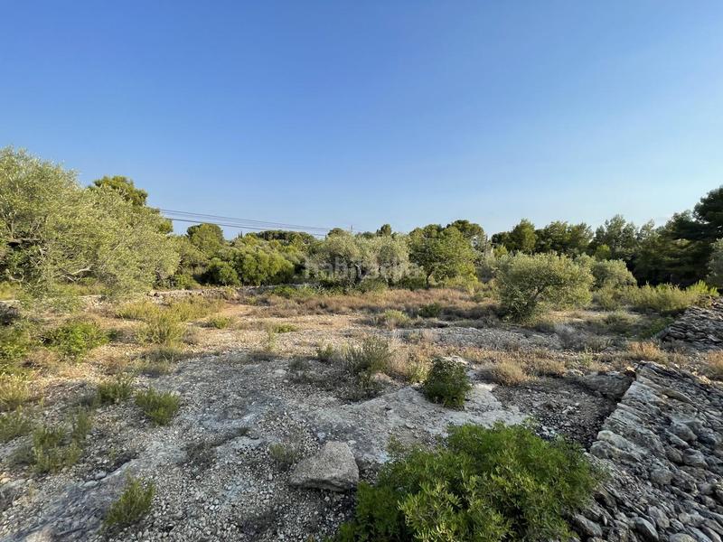 Foto ab3630f3-b671-4ac7-9d27-866e298040f7. Finca rústica a Roques Daurades-L´Estany Ametlla de Mar (L´)