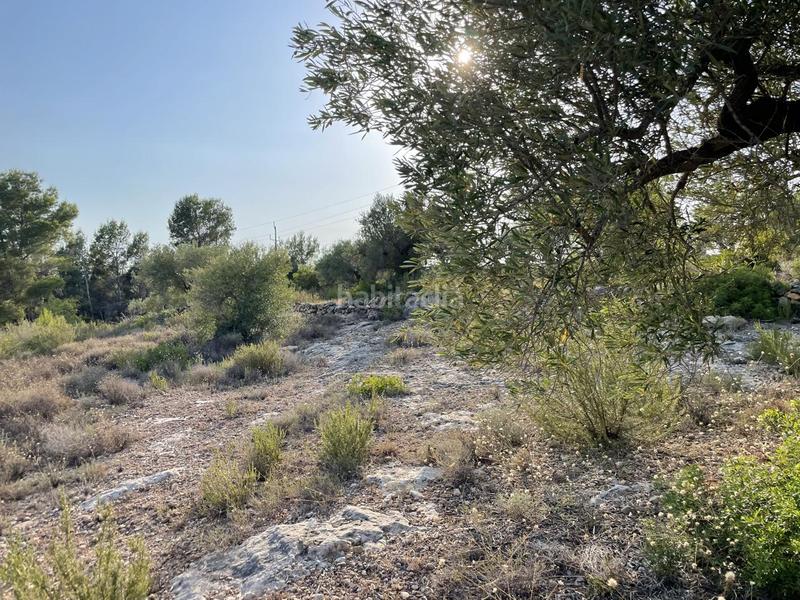 Foto b22efd13-92cd-4f5f-bdb4-5ef94d09ffb5. Finca rústica a Roques Daurades-L´Estany Ametlla de Mar (L´)