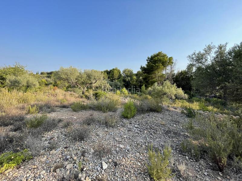 Foto c693c747-cfa3-4074-83c4-4057892ed3e5. Finca rústica a Roques Daurades-L´Estany Ametlla de Mar (L´)