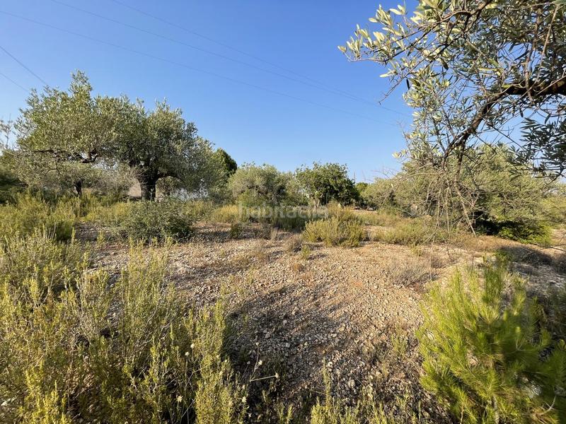 Foto de6ba028-2a0c-451e-8d12-84158f31ec6f. Finca rústica a Roques Daurades-L´Estany Ametlla de Mar (L´)