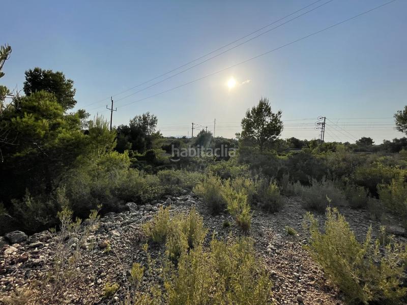 Foto e1c25184-f103-4065-acb1-24ab5adc193f. Finca rústica a Roques Daurades-L´Estany Ametlla de Mar (L´)