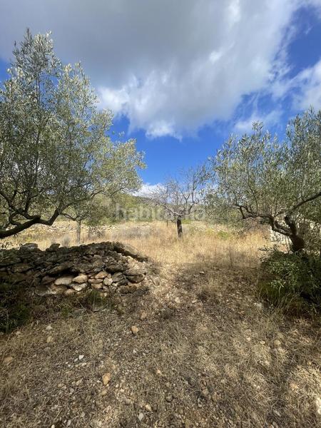 Foto 24c55128-e808-4606-b5b4-68e408b68b0e. Rural plot in L´Ametlla de Mar Ametlla de Mar (L´)