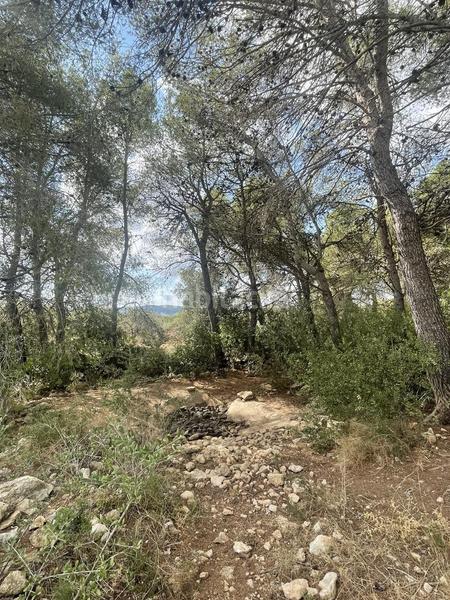 Foto 31c6e3fb-236a-4689-a4d5-8b5401d65a78. Rural plot in L´Ametlla de Mar Ametlla de Mar (L´)