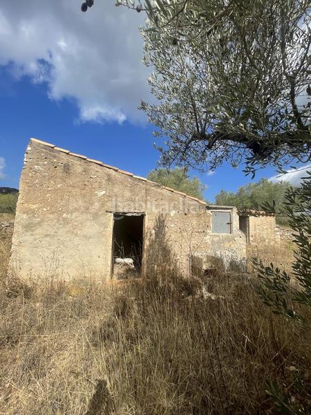 Foto 54d8f2df-7439-4ca8-8f4f-21975f38cee2. Rural plot in L´Ametlla de Mar Ametlla de Mar (L´)