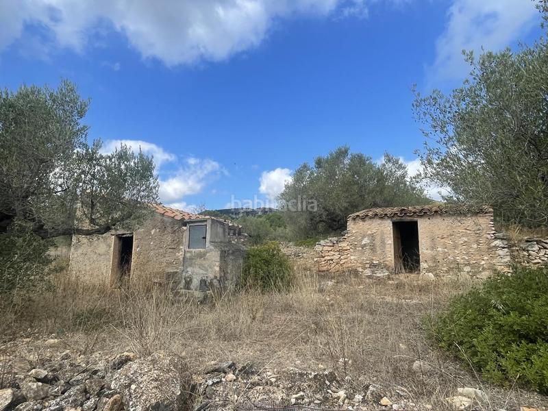 Foto 73f44324-7591-4aee-99a5-fc8f9c3b3bfa. Rural plot in L´Ametlla de Mar Ametlla de Mar (L´)