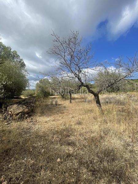 Foto 7af3b653-2fbb-4f65-b5ef-7e9de26450a0. Rural plot in L´Ametlla de Mar Ametlla de Mar (L´)