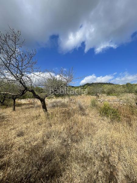 Foto ae23435c-1600-4d26-b4fd-7ae1d37a876c. Rural plot in L´Ametlla de Mar Ametlla de Mar (L´)