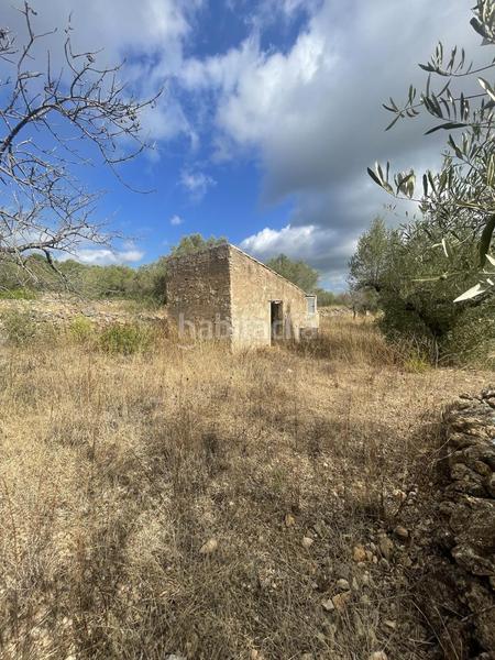 Foto bec4612f-a753-40ac-a2fa-7cf254eb643c. Rural plot in L´Ametlla de Mar Ametlla de Mar (L´)