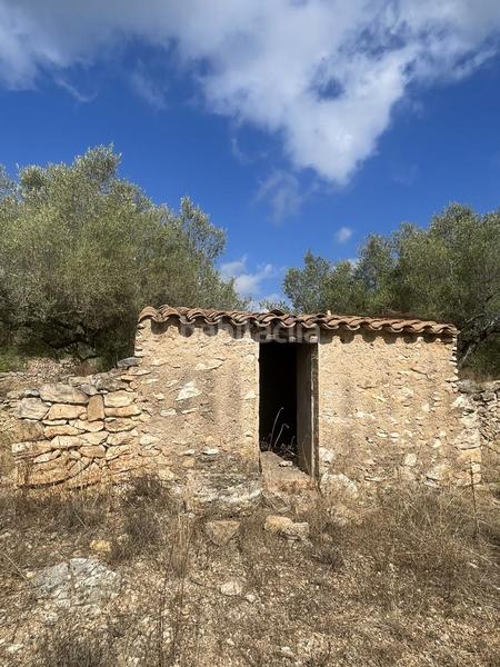 Foto d87f729f-3a2d-4516-8413-73144692c538. Rural plot in L´Ametlla de Mar Ametlla de Mar (L´)