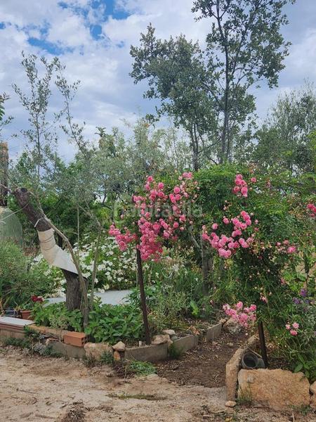 Foto 32630152-d89d-46e2-9f14-dbe526cef920. Masia a Perelló (El)