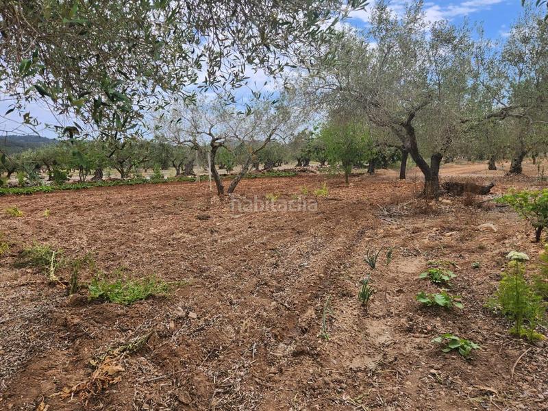 Foto 83188134-52c0-4858-8b0e-743ee7ac8f27. Masia a Perelló (El)