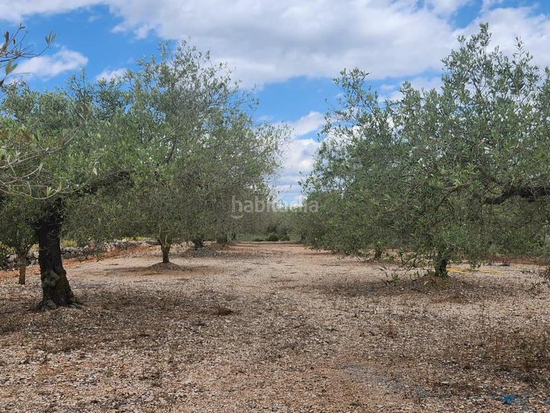 Foto 87c953e2-433f-4e72-90d8-9789090a2f2c. Masia a Perelló (El)