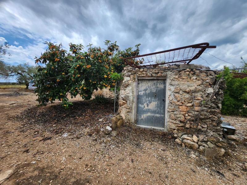 Foto 96800ede-ba06-4236-a709-514bf6249dce. Masia a Perelló (El)