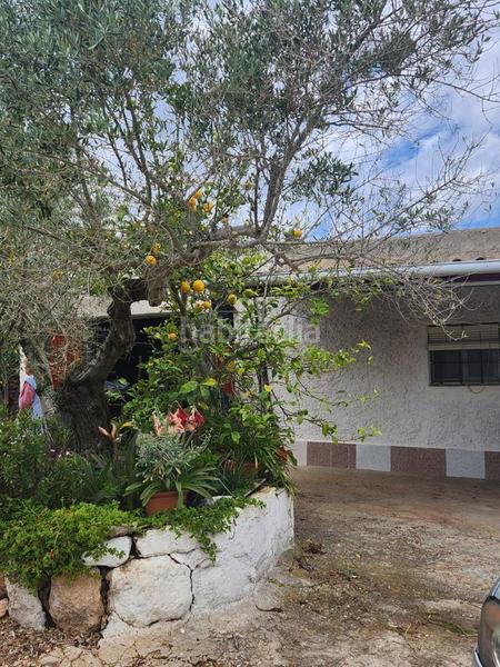 Foto 9eee522b-00ac-4d52-b47d-bccf7ba808e7. Masia a Perelló (El)