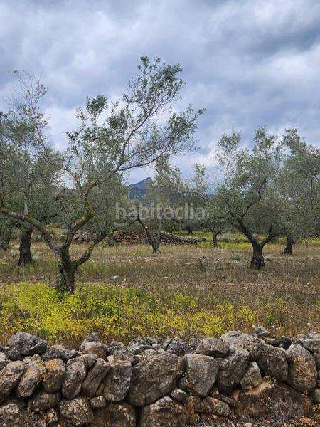 Foto c873ec2a-867f-4995-966d-2dae1ecf5dab. Masia a Perelló (El)