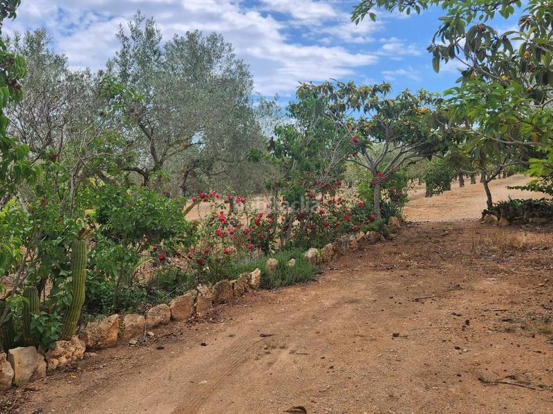 Foto e1b12952-44a2-4786-afd2-6afa0c2decf4. Masia a Perelló (El)