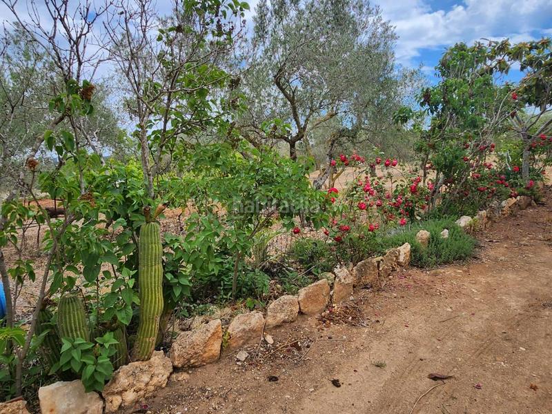 Foto e3d0236c-2cfe-400b-bf44-dee8d29d0aa9. Masia a Perelló (El)