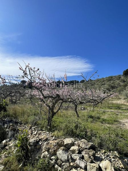 Foto 041e3606-11cf-46b1-872a-6442c30d540c. Masia a Roques Daurades-L´Estany Ametlla de Mar (L´)