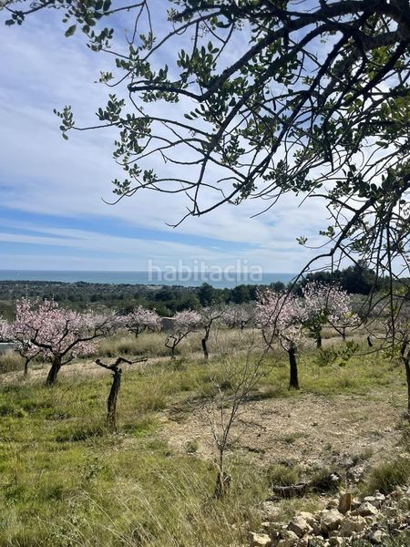 Foto 157a213b-b721-428a-8481-72d4bd4a0c00. Masia a Roques Daurades-L´Estany Ametlla de Mar (L´)