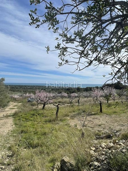 Foto 1cdcf5f6-632c-48c9-82a7-4c284442f1a2. Masia a Roques Daurades-L´Estany Ametlla de Mar (L´)